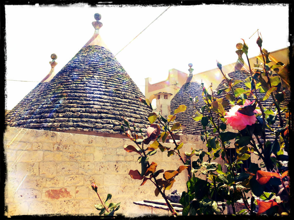 Dimora Matarrese B&B Trulli Alberobello Eksteriør billede